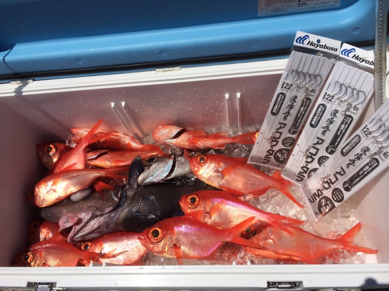 「和歌山県南紀椿」深海釣りトロキンメ、クロムツ、カサゴ釣果