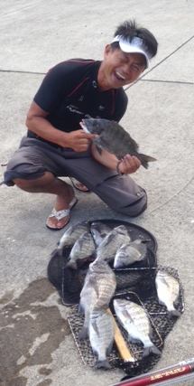 【京都府舞鶴市青井】筏が熱い! チヌ10匹釣果