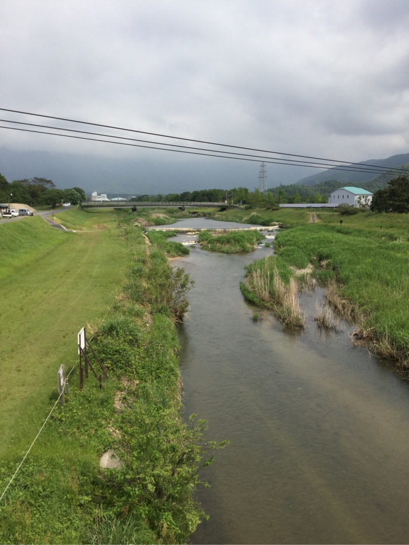 滋賀県知内川 琵琶湖の淡水餌釣りで小鮎釣果