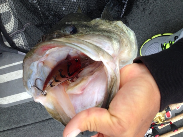 琵琶湖 レアリス講習でブラックバス釣果