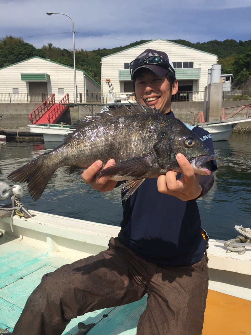 広島 大黒神のっこみ 筏かかり釣りでチヌ釣果