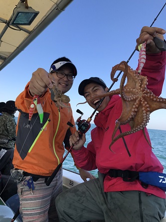 明石タコ釣りで真蛸釣果
