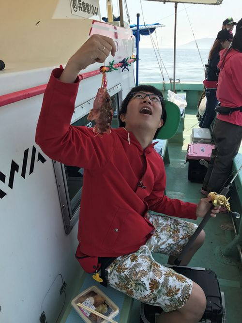 明石沖の船釣りで ガシラ・メバル釣果