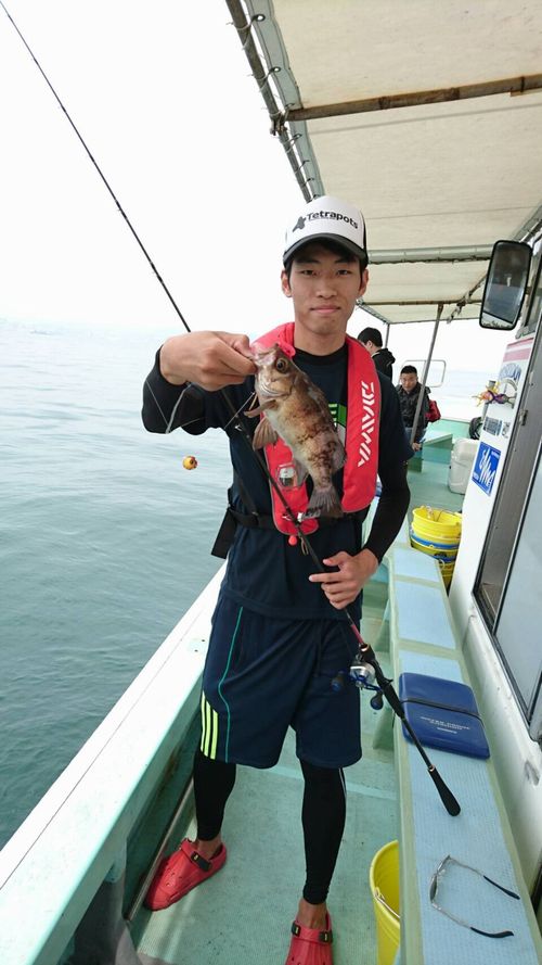 明石沖の船釣りで ガシラ・メバル釣果