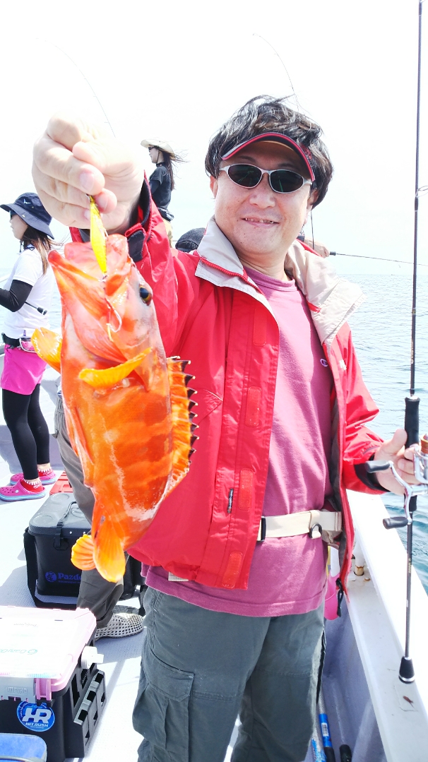 三重県志摩沖のSLJでイサキ・メバル・アカハタ・ガシラ釣果