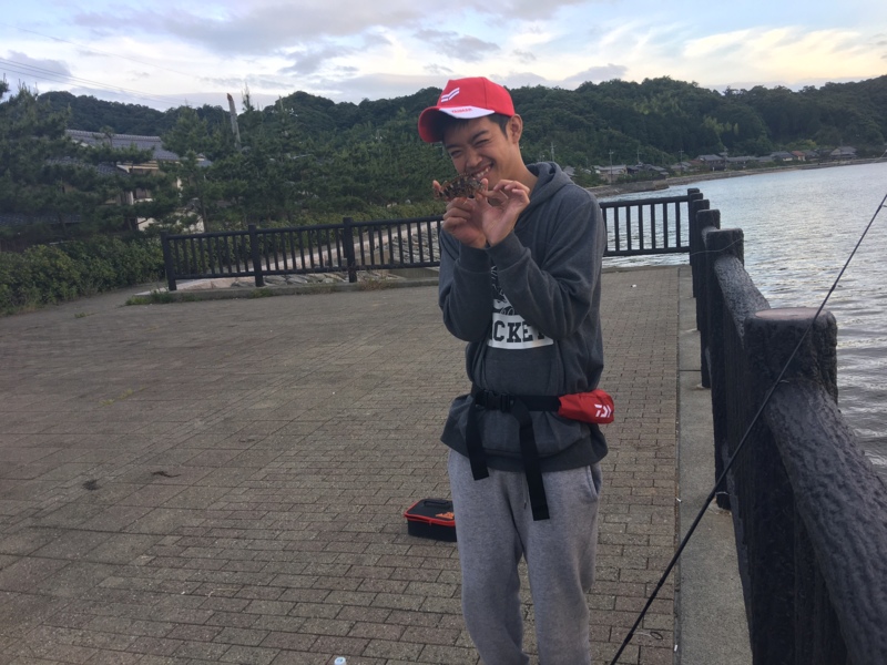 宮津 ロックフィッシュでアコウ・クロソイ・ガシラ釣果