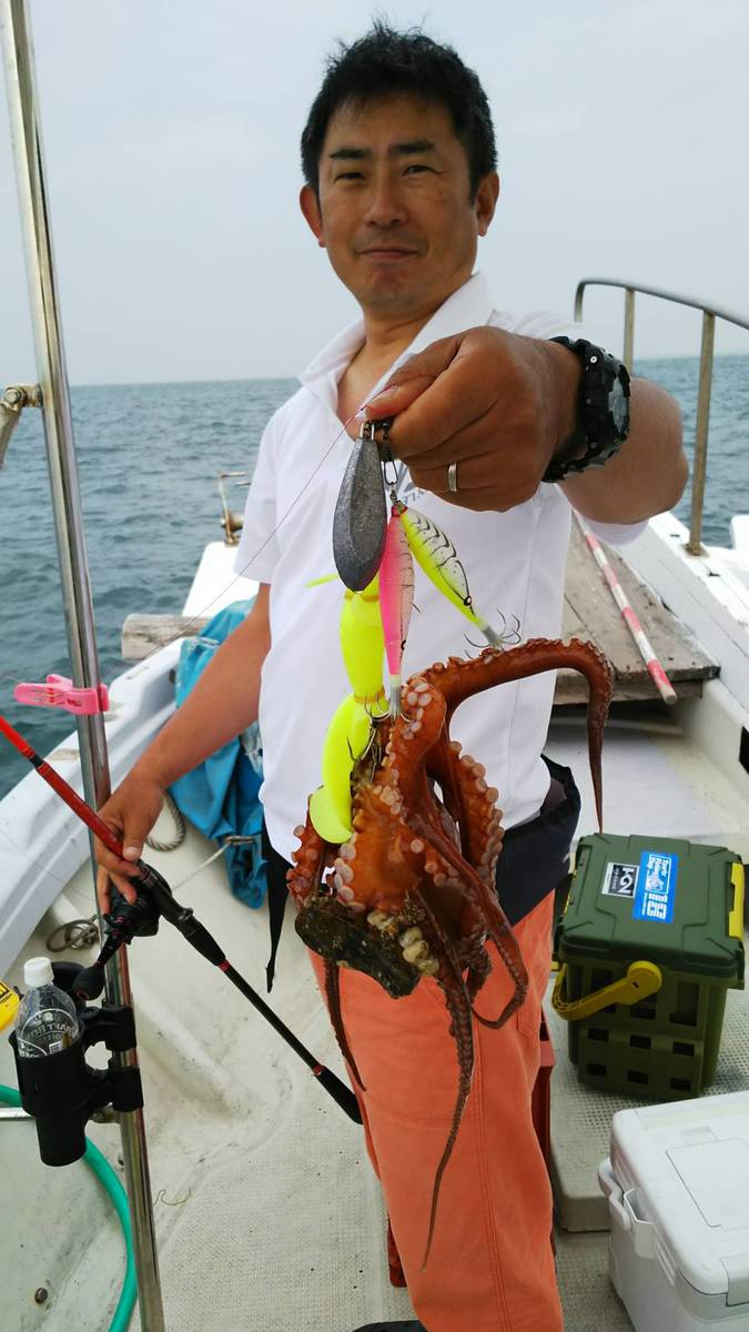 明石の江井ヶ島港 タコエギ・スッテでマダコ釣果