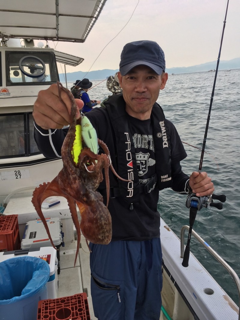 明石の江井ヶ島港 タコエギ・スッテでマダコ釣果