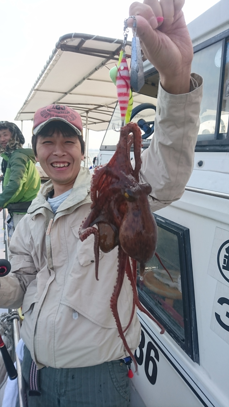 明石の江井ヶ島港 タコエギ・スッテでマダコ釣果