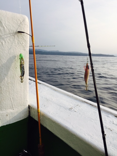 鳥取 勝栄丸 イカメタルでシロイカ釣果