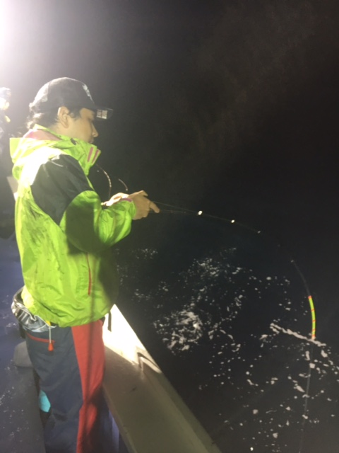 鳥取でイカメタルゲーム ケンサキイカ釣果