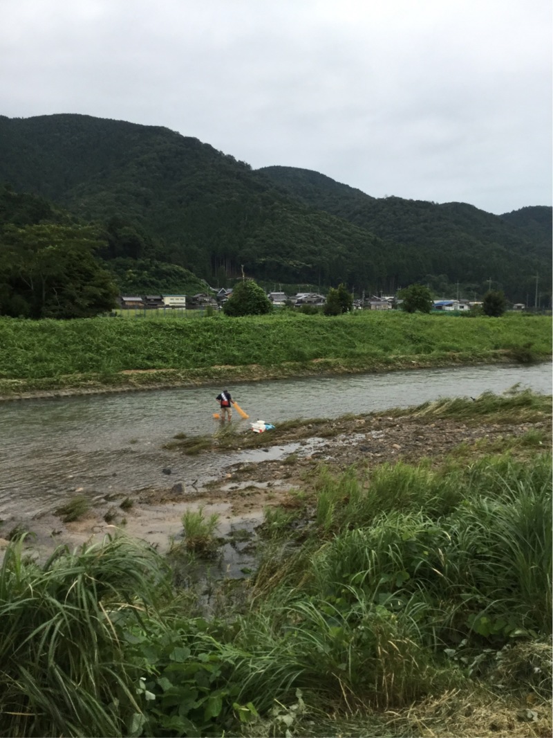 琵琶湖 淡水ウキ釣りで小鮎釣果