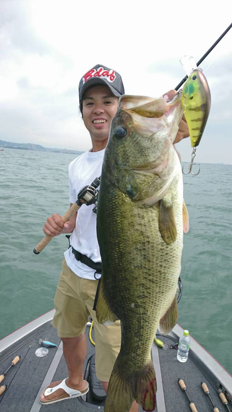 琵琶湖でブラックバス釣果