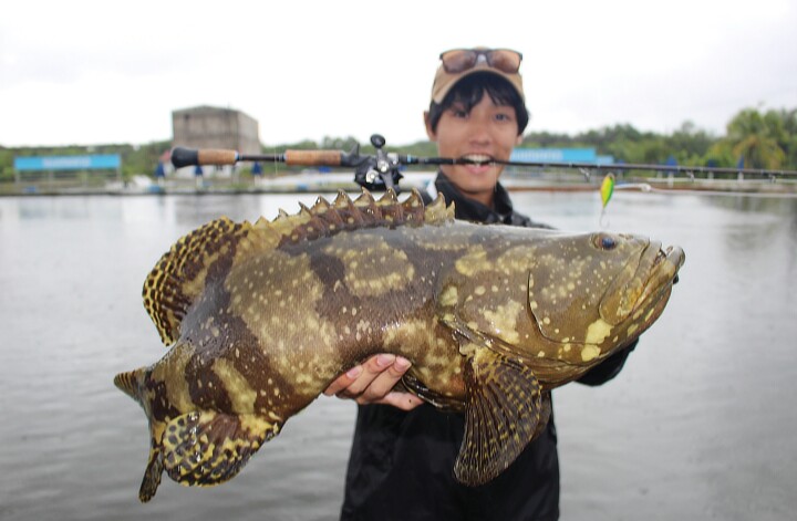 マレーシアでグルーパー、バラマンティ、GT釣果