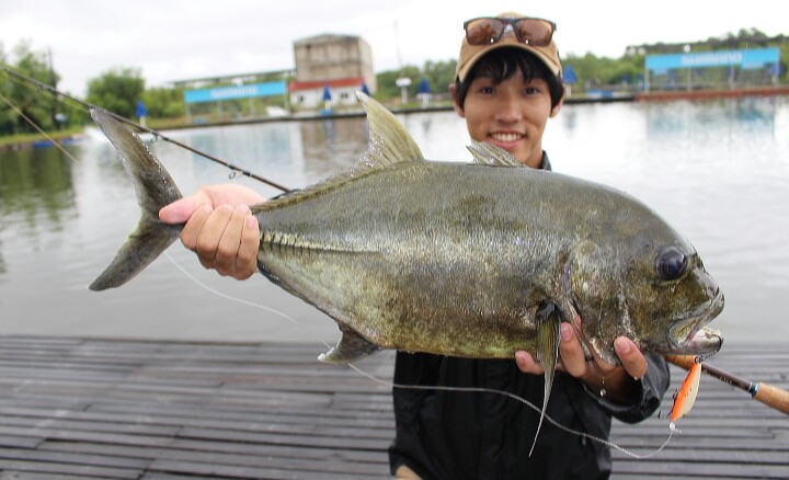 マレーシアでグルーパー、バラマンティ、GT釣果