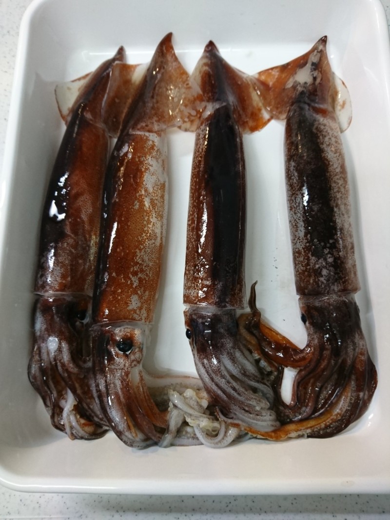 福井県小浜 イカメタルでイカ釣果