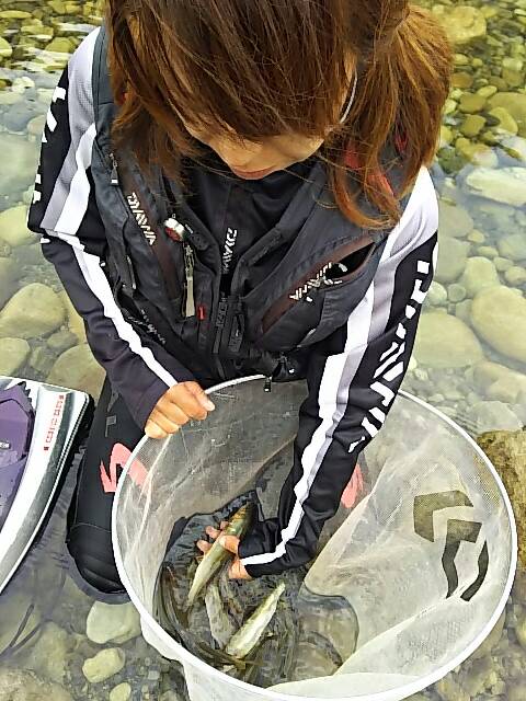 和歌山県古座川町の友釣りで鮎釣果