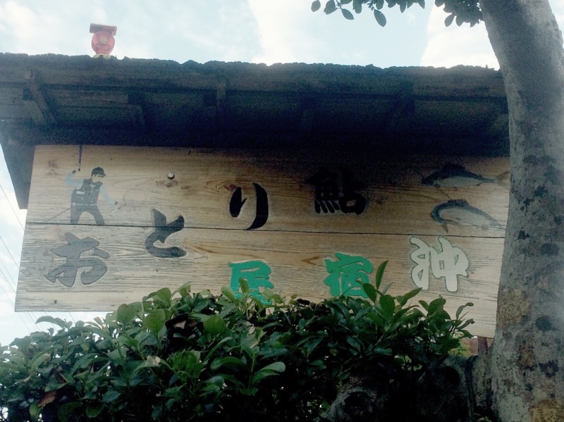 和歌山県古座川町の友釣りで鮎釣果