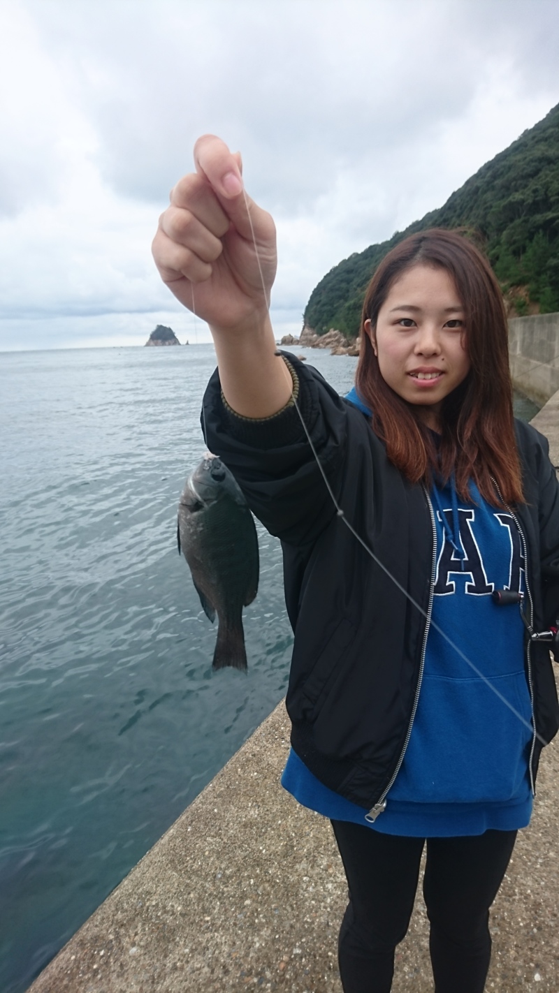 東舞鶴の波止フカセでアジ・グレ釣果