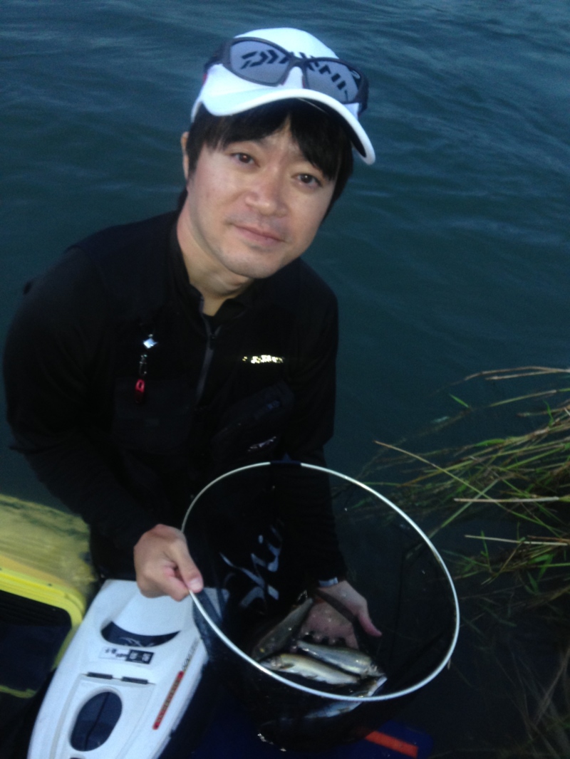 【福井県 九頭竜川】鮎の友釣りで鮎90匹釣果!