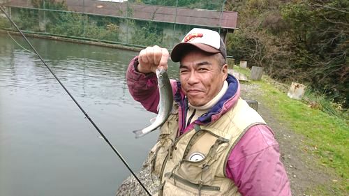 千早赤阪で初めてのフライフィッシング!