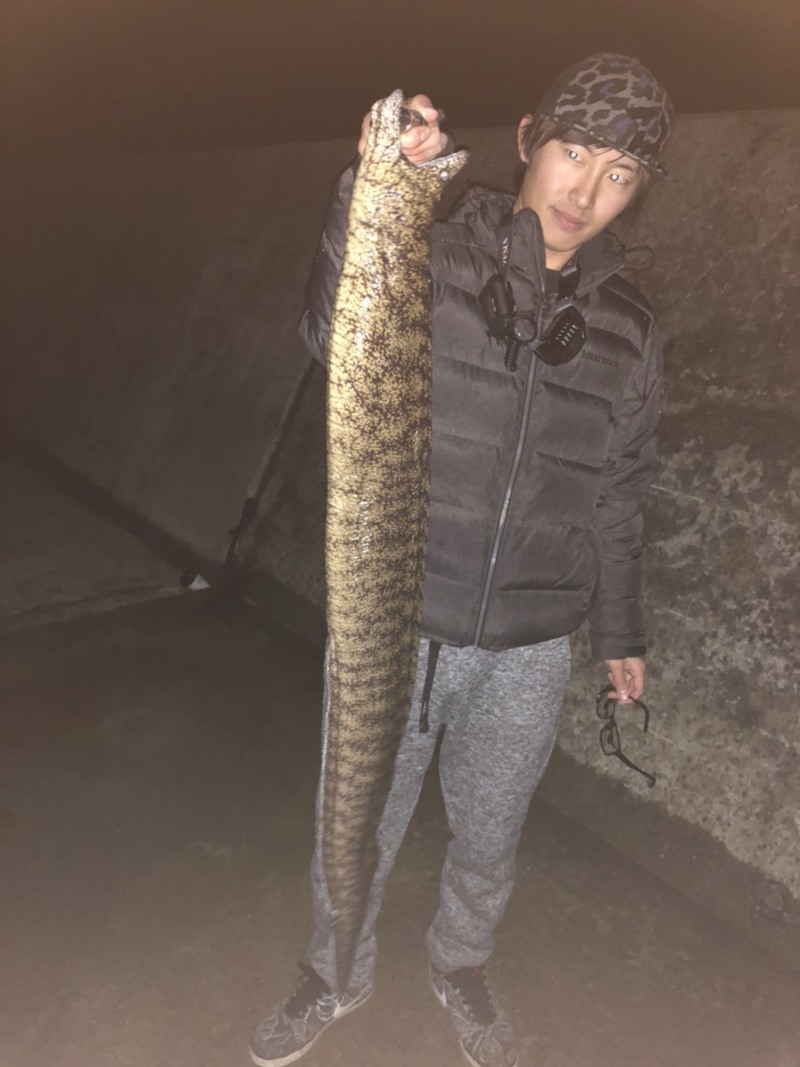 高知おかっぱり