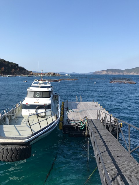 四国磯釣り遠征