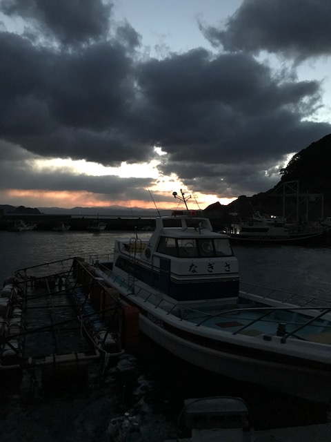 四国磯釣り遠征