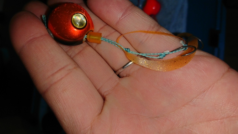 和歌山 加太タイラバ釣行