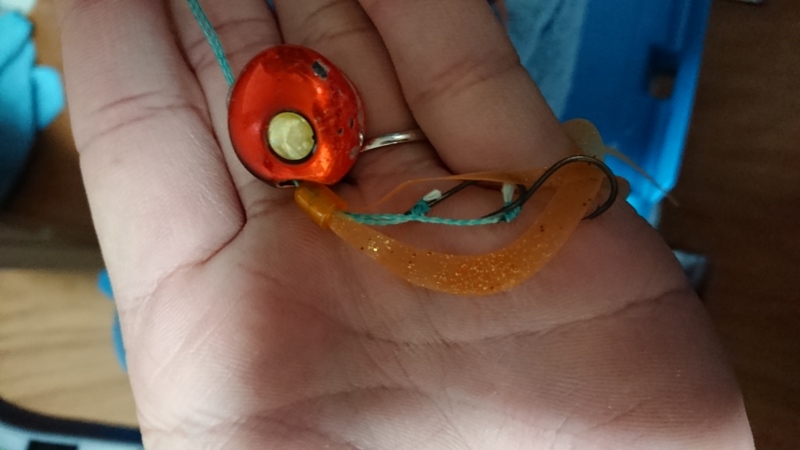 和歌山 加太タイラバ釣行