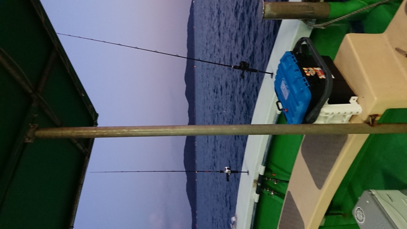 和歌山 加太タイラバ釣行