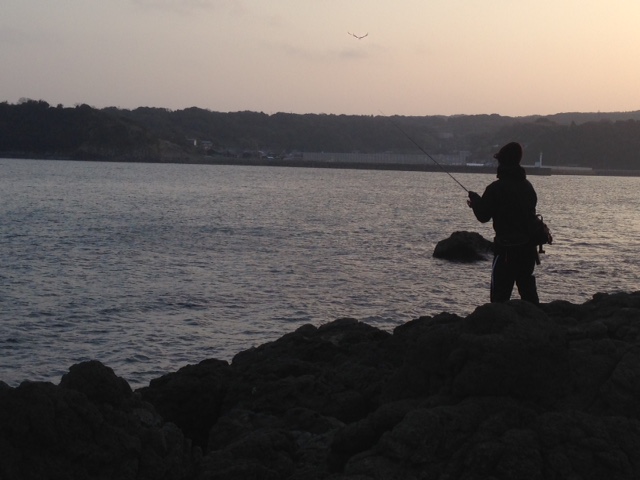 長崎県 壱岐 アジング釣行