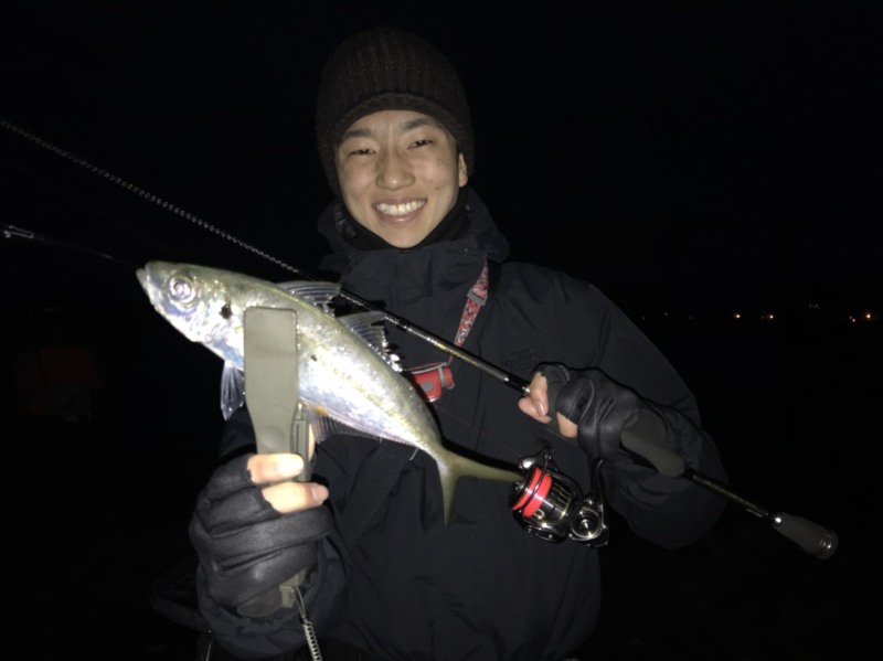 長崎県 壱岐 アジング釣行