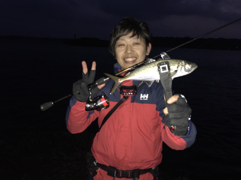 長崎県 壱岐 アジング釣行