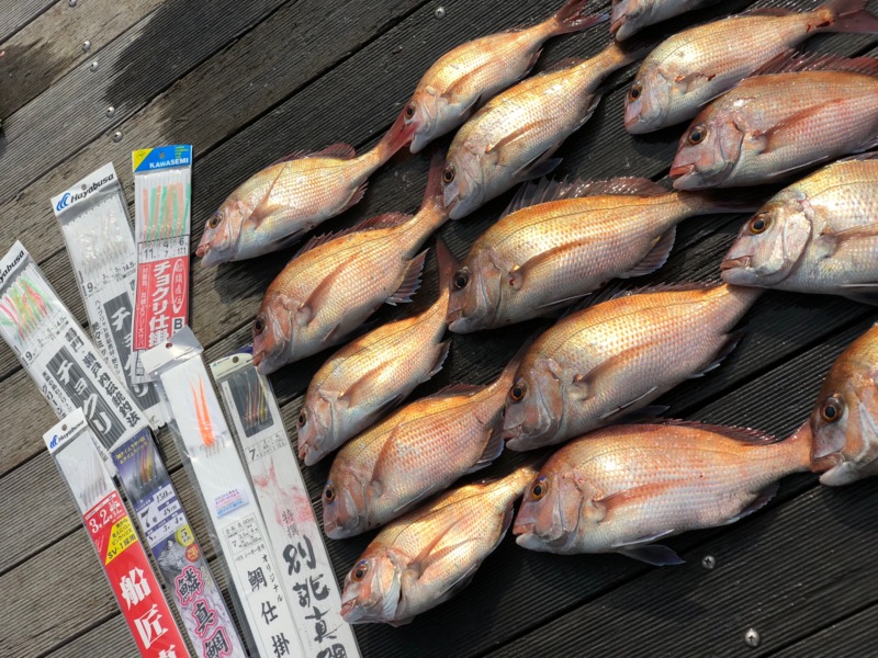 小豆島で鯛サビキ