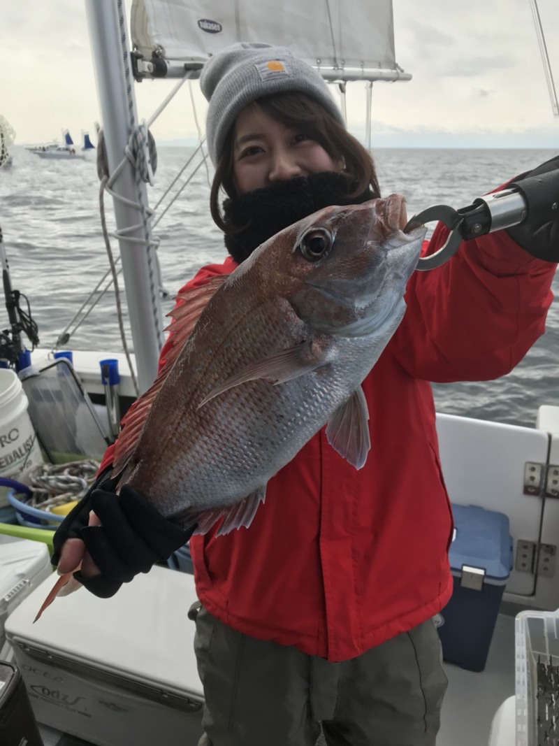 小豆島で鯛サビキ
