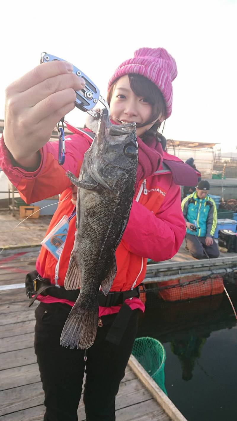 楽しく海上釣堀