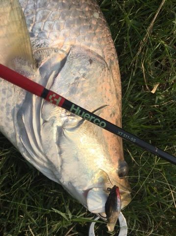 ピラルク!ゲット! inタイ