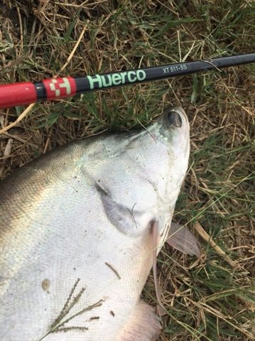 ピラルク!ゲット! inタイ