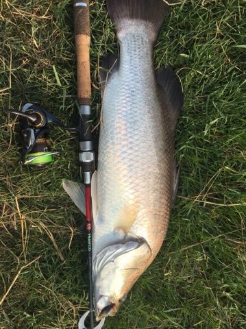 ピラルク!ゲット! inタイ