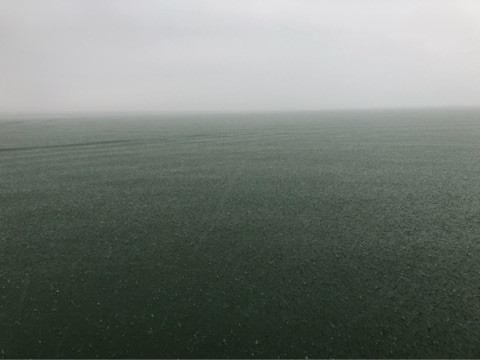 シーズンインの琵琶湖へ