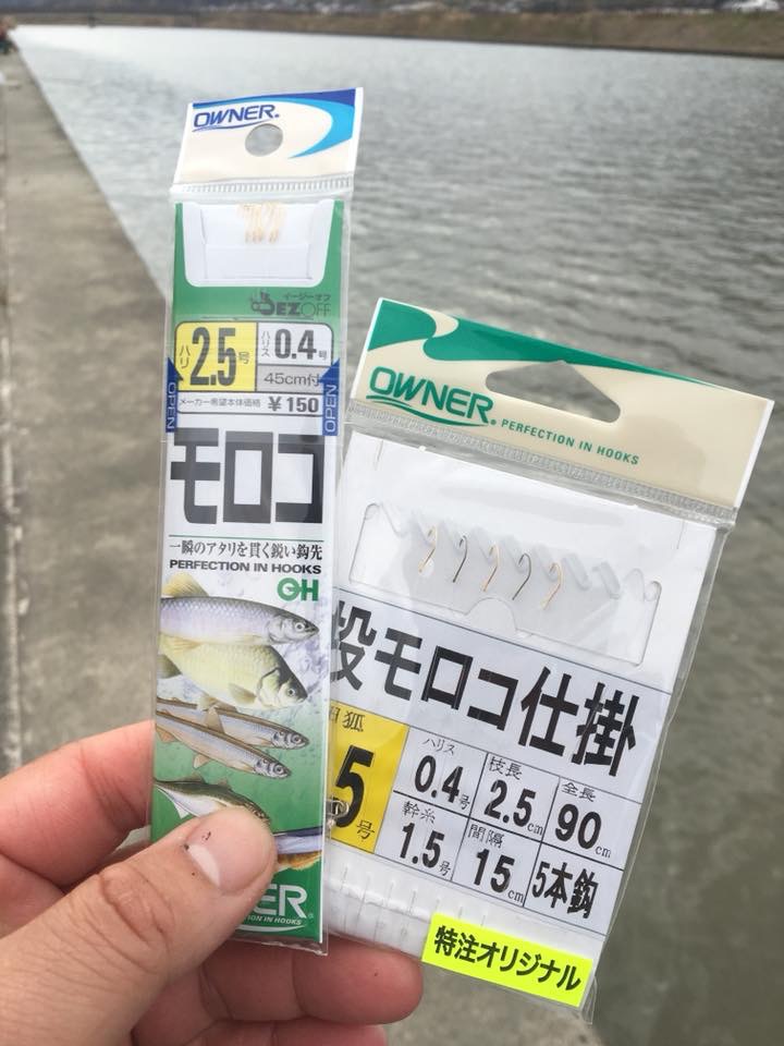 琵琶湖本モロコ2