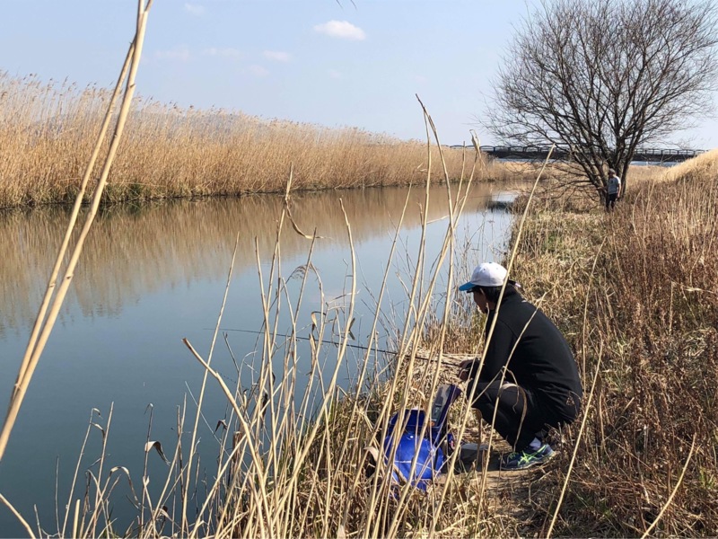 琵琶湖本モロコ3