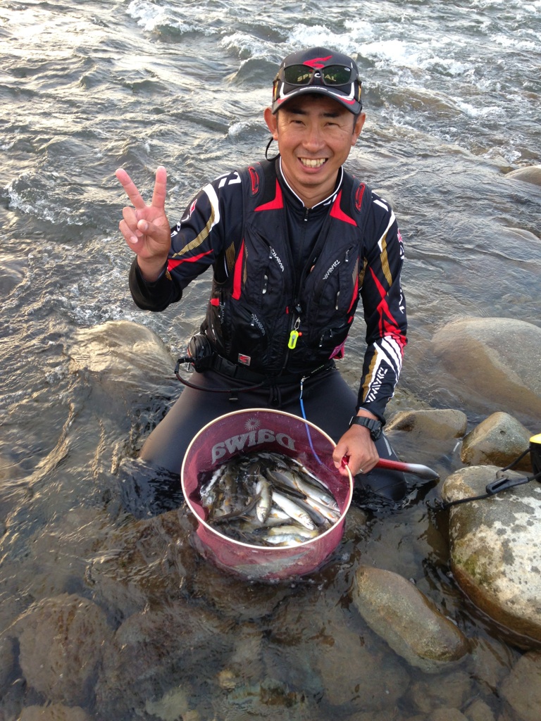 富山県神通川で友釣り!鮎釣果