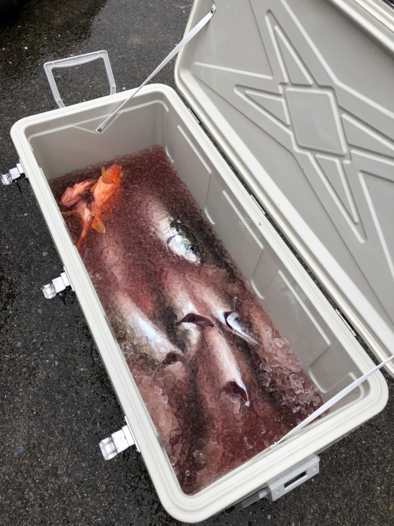 三重県へいみつ丸釣行