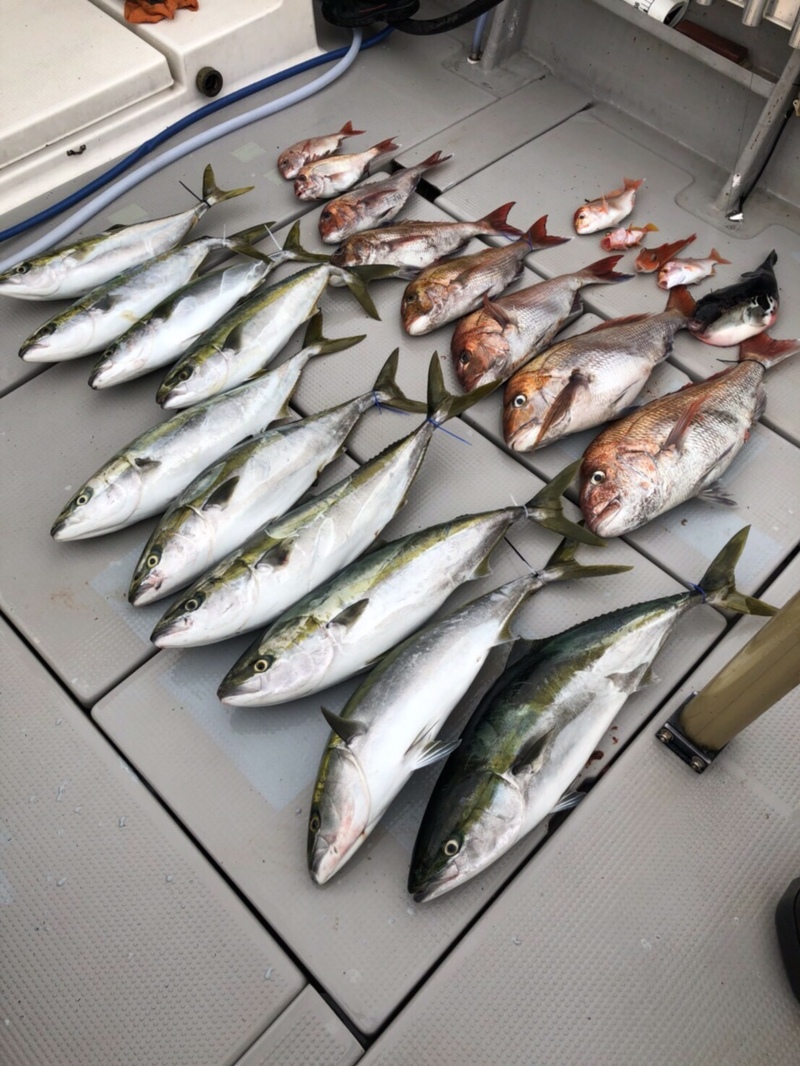 ジギング・タイラバ釣行