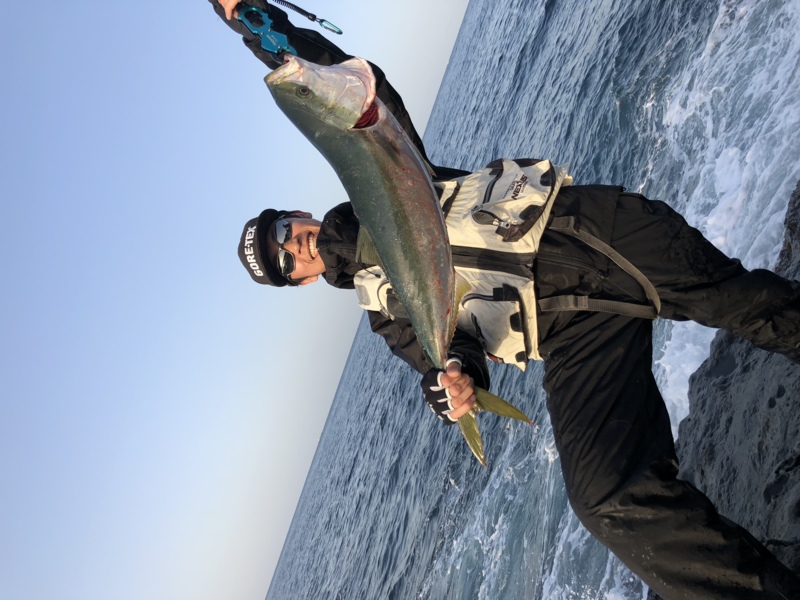 和歌山県南紀 ショアメジロ