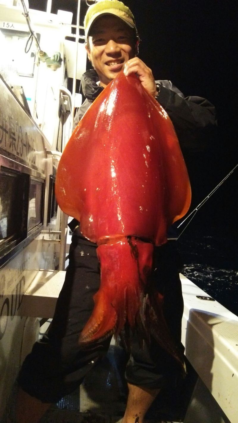 【福井県小浜 雲丸】タルメタルでタルイカ・スルメイカ釣果