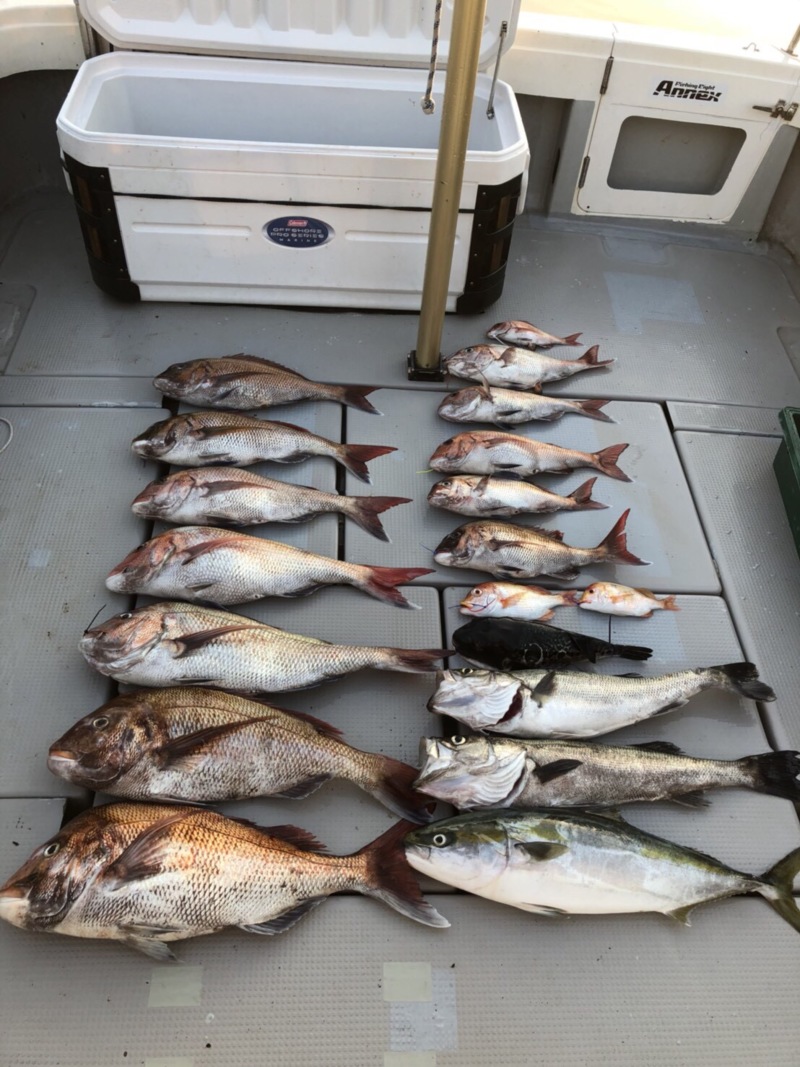 ジギング・タイラバ釣行