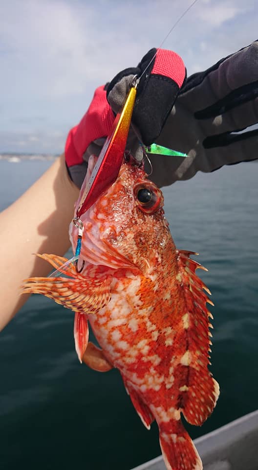 鹿児島錦江湾マイクロジギング研修